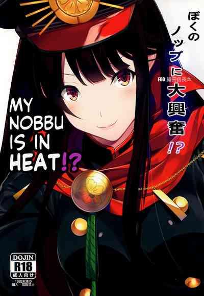 Fucking Hard Boku No Nobbu Ni Daikoufun!? | My Nobu Is In Heat?! Fate Grand Order SankakuComplex 1
