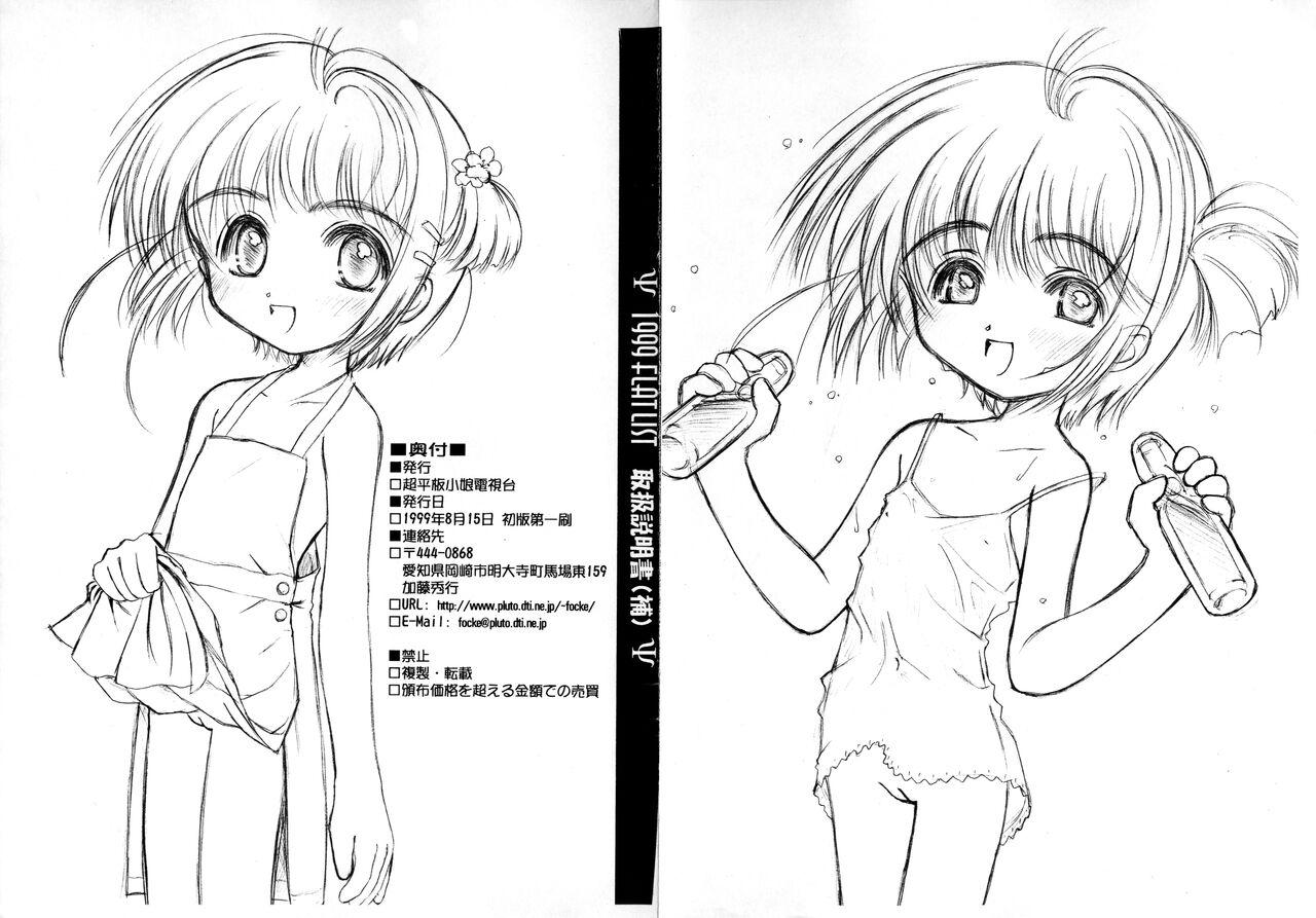 1999 FLAT LIST Toriatsukai Setsumeisho 3