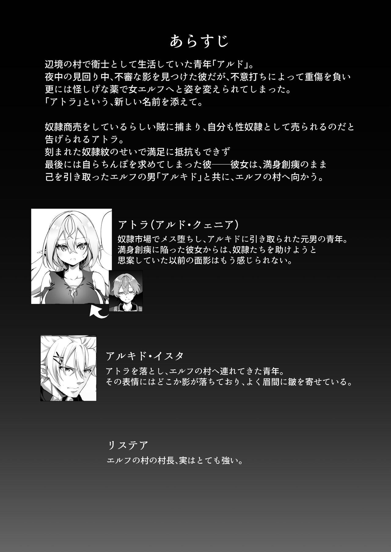 Satin Elf-ka no Kusuri 2 Furry - Page 2