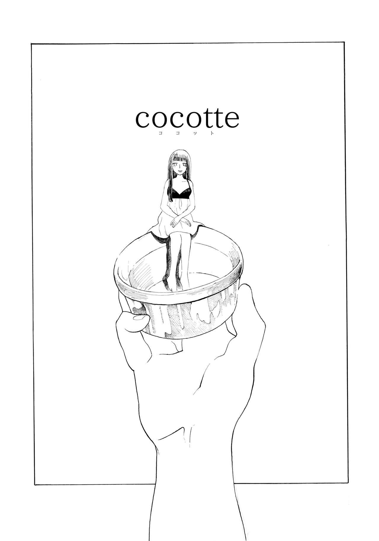 cocotte 0