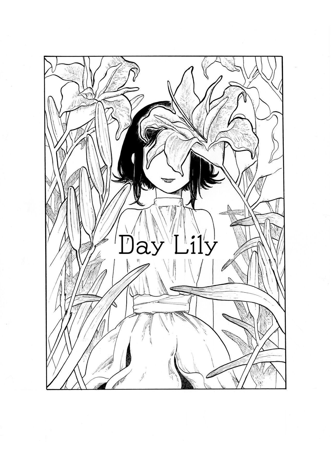 Day Lily 0