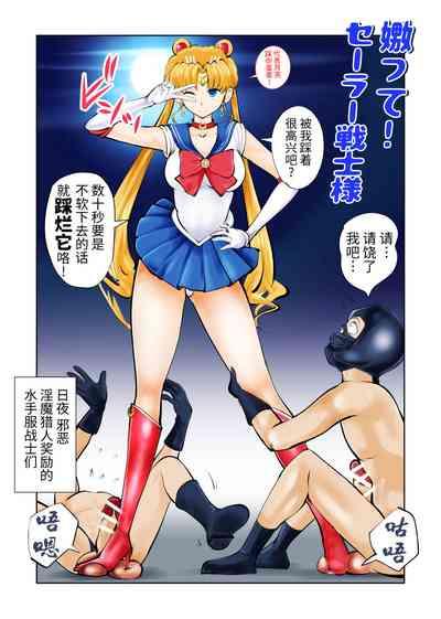 Nabutte! Sailor Senshi-sama 2