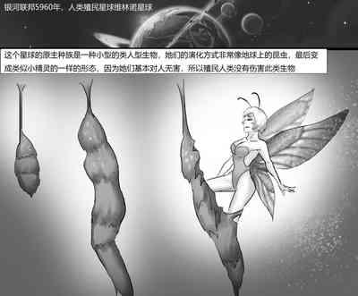 Naturaltits 《茧中精灵》《The Elf In The Cocoon》 Chinese  Africa 2