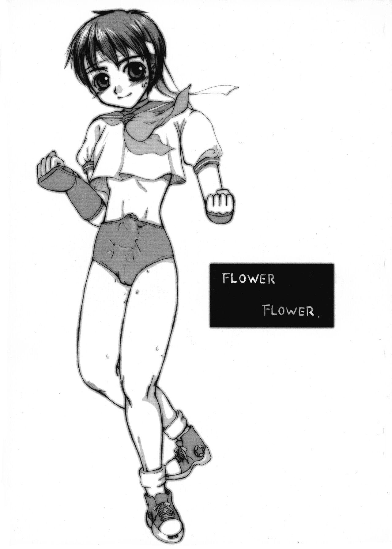 Nylons FLOWER FLOWER. - Street fighter Darkstalkers | vampire Dom - Page 1